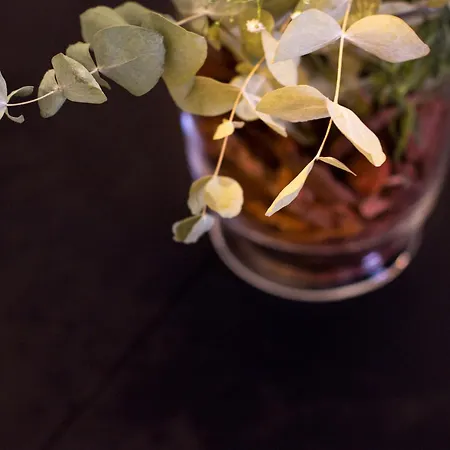 Apn Duplex Elvira Granada